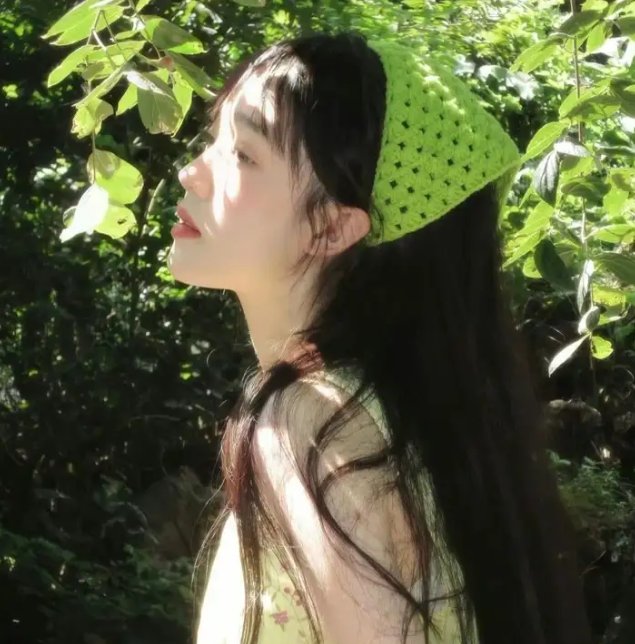 飞燕惊鸿